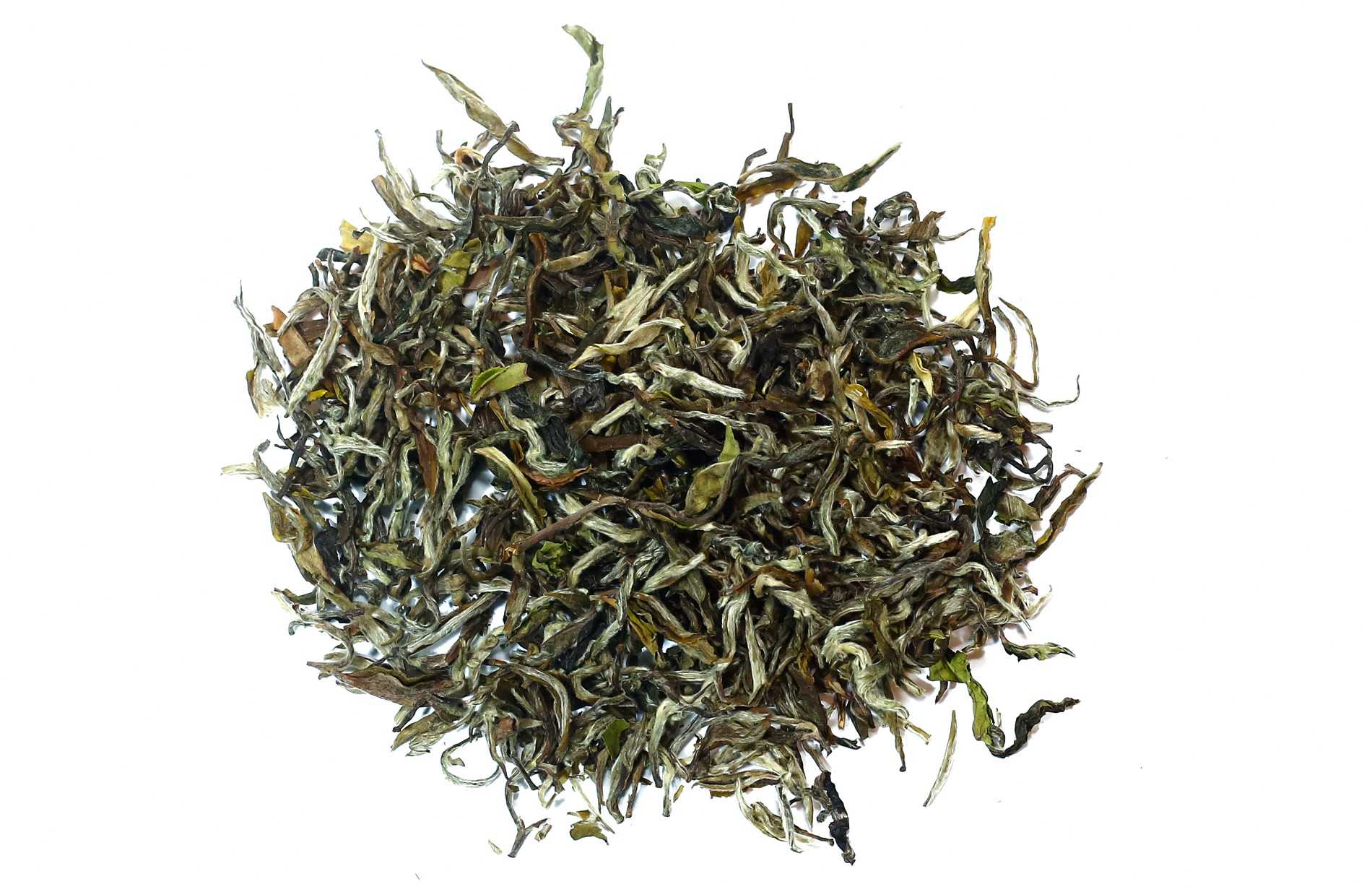 category image